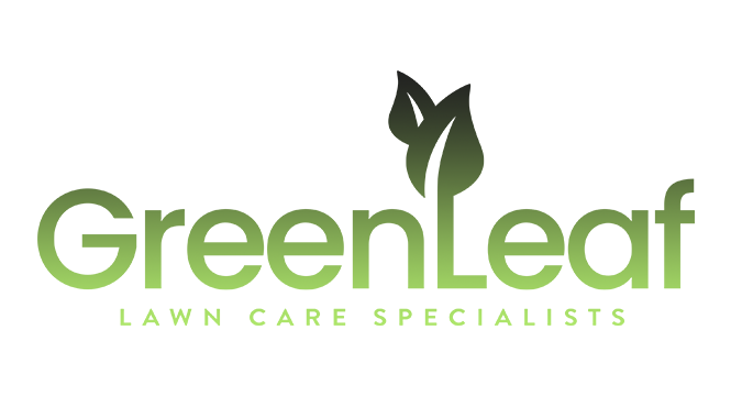 Specialist Lawn Treatment Services | Green Leaf Lawn Care